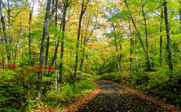 10 Ways to Discover Fall Fun in Boulder Junction | Click to view article