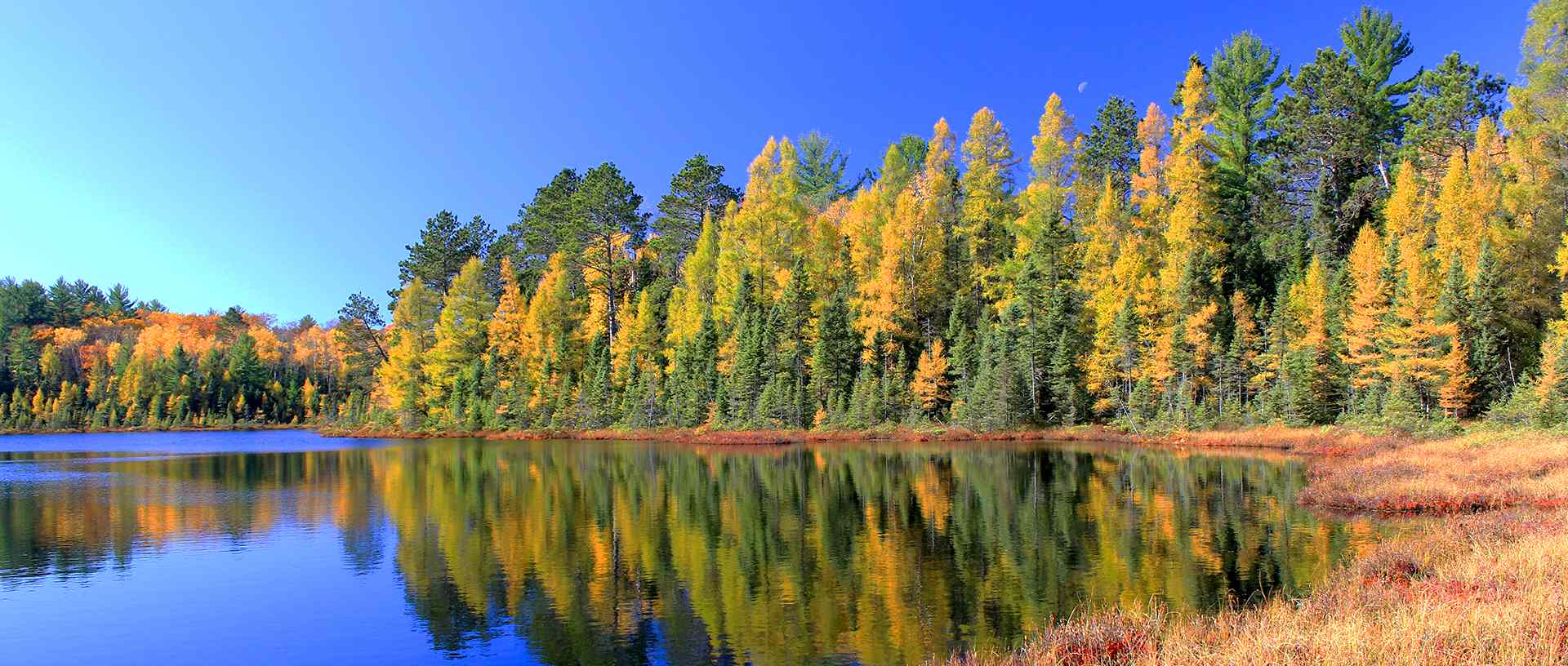 Fall color trees on the lakeside