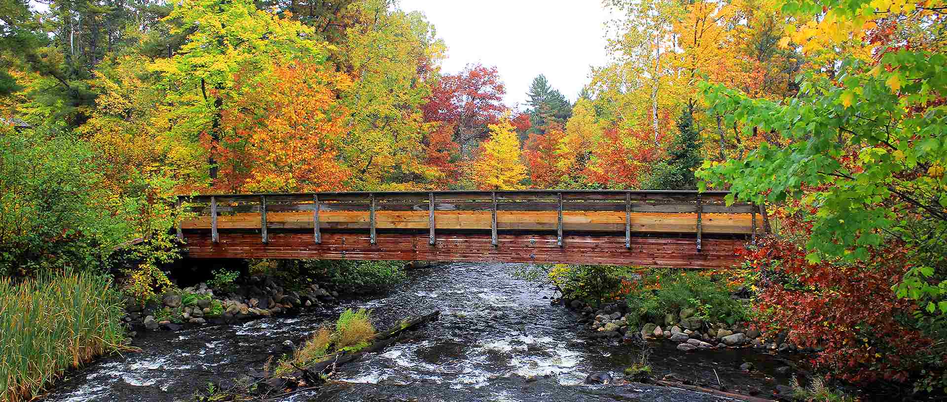 Bridge over a creek surrounded by fall trees