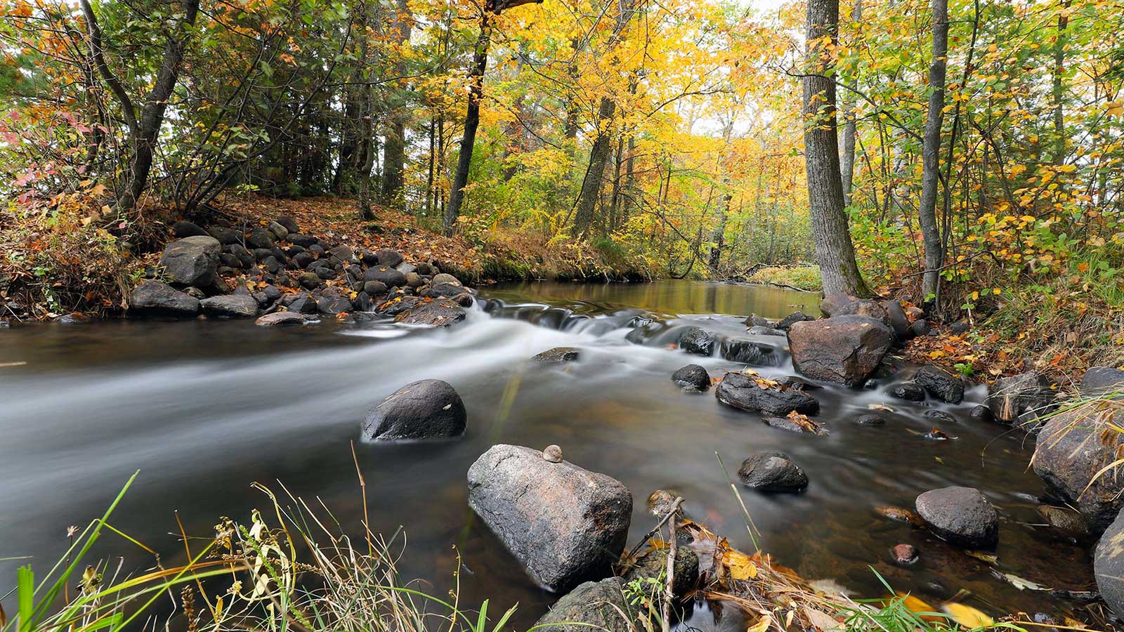 Creek between fall color trees