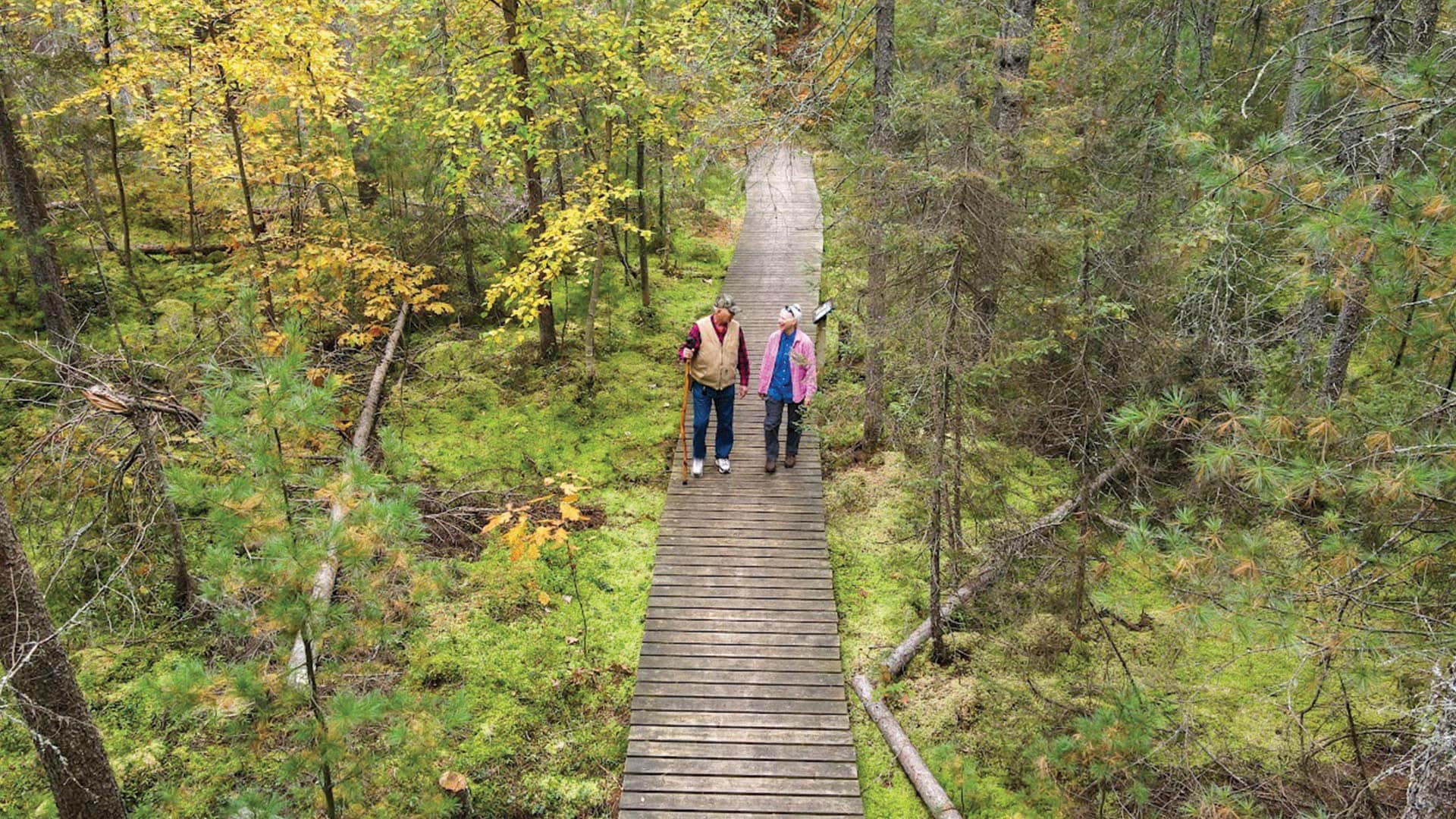 Couple hiking the fall covered wooden path at North Trout Nature Trail
