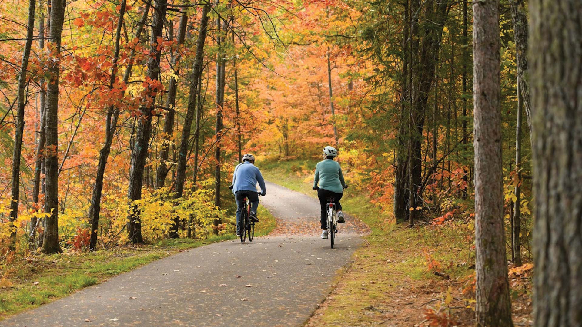 Biking a path between fall covered trees on Heart Of Vilas Trail