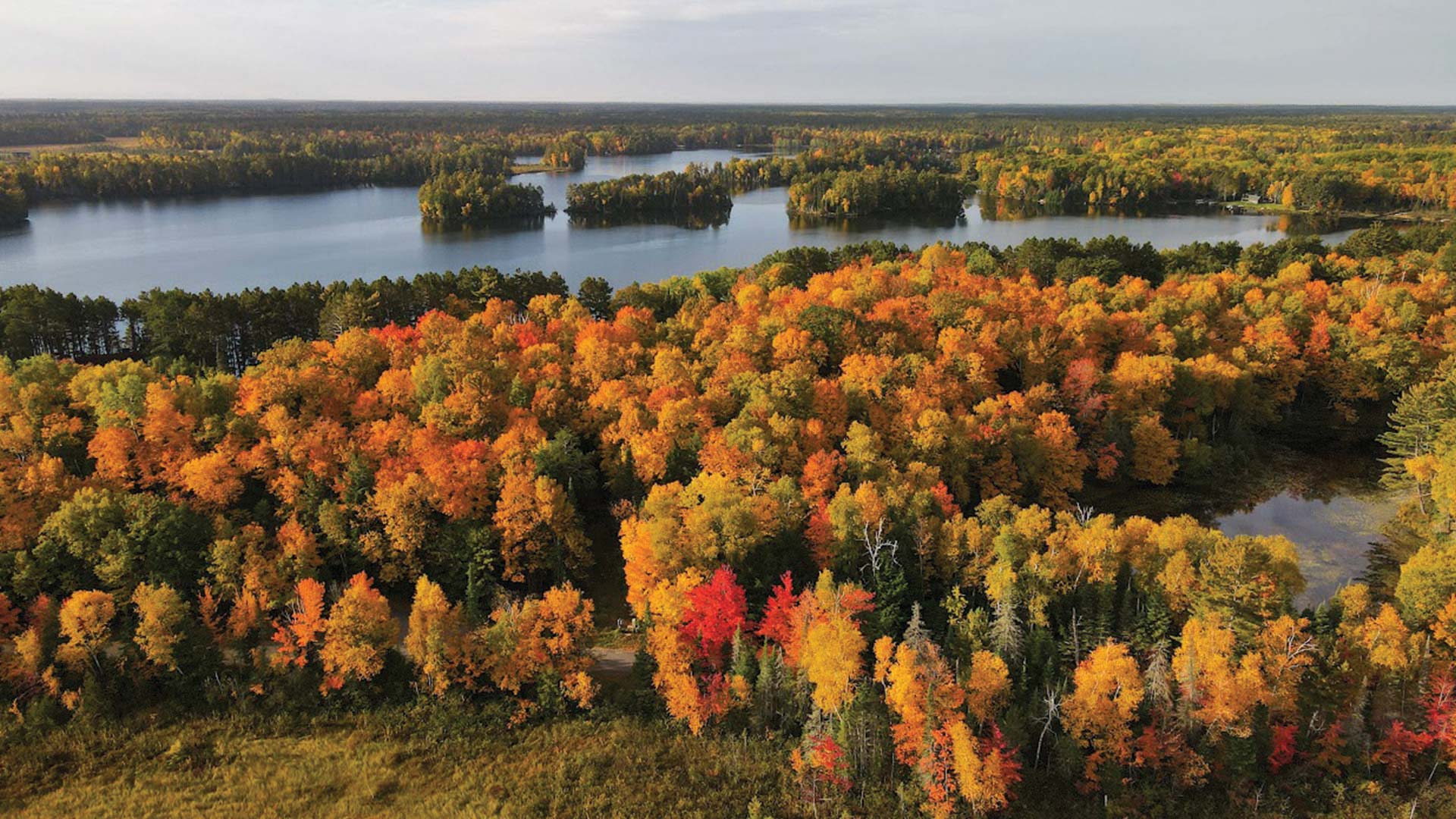 Overhead view of Grassy Lake, filled with fall color
