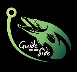 Guide On The Side