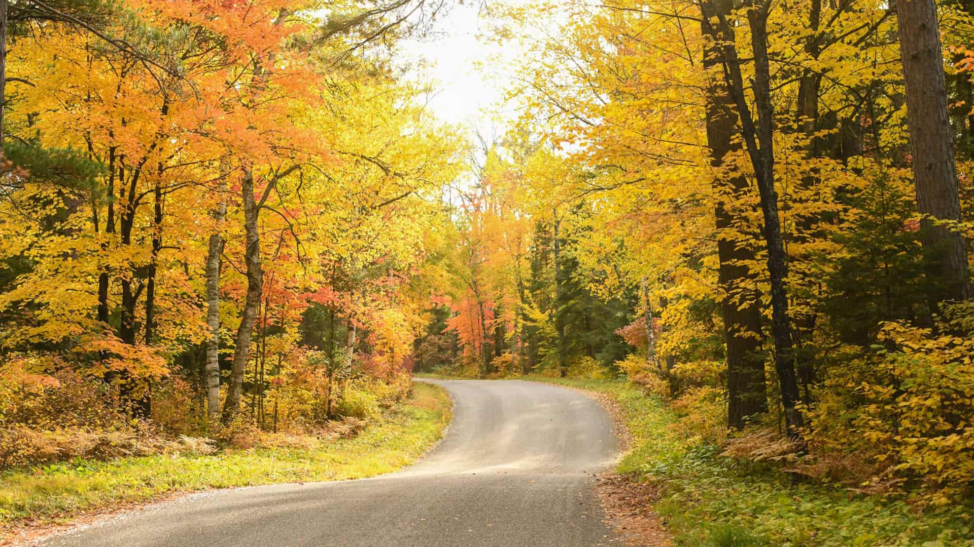 Scenic road in fall Boulder Junction Wisconsin