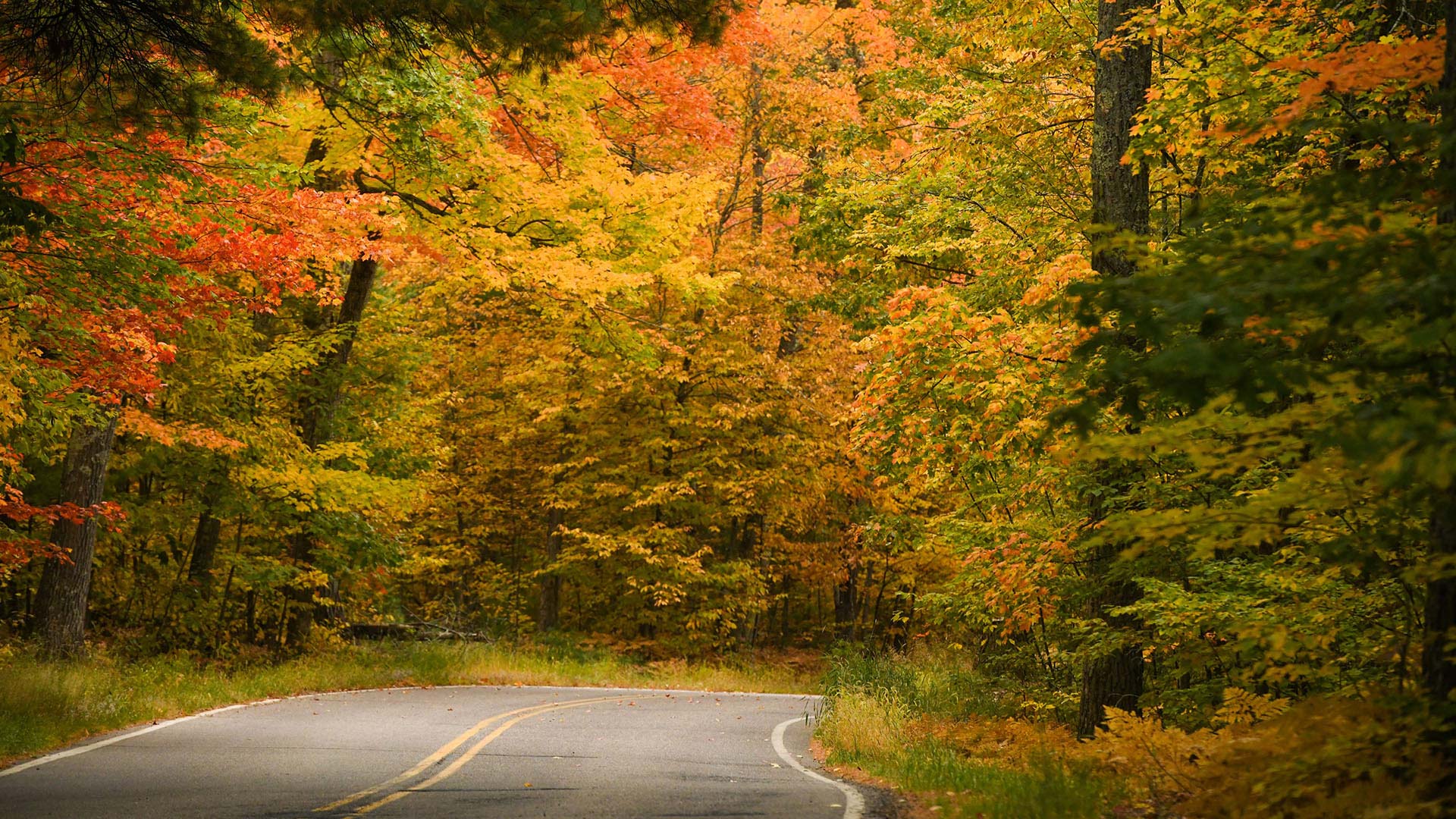 Fall color drive on Rustic Road 60