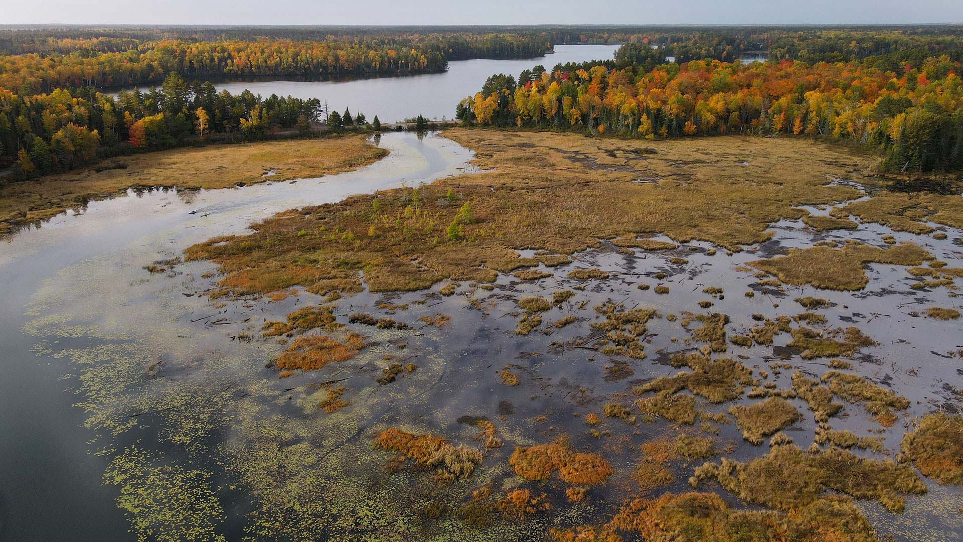  aerial view of Rush Lake during autumn