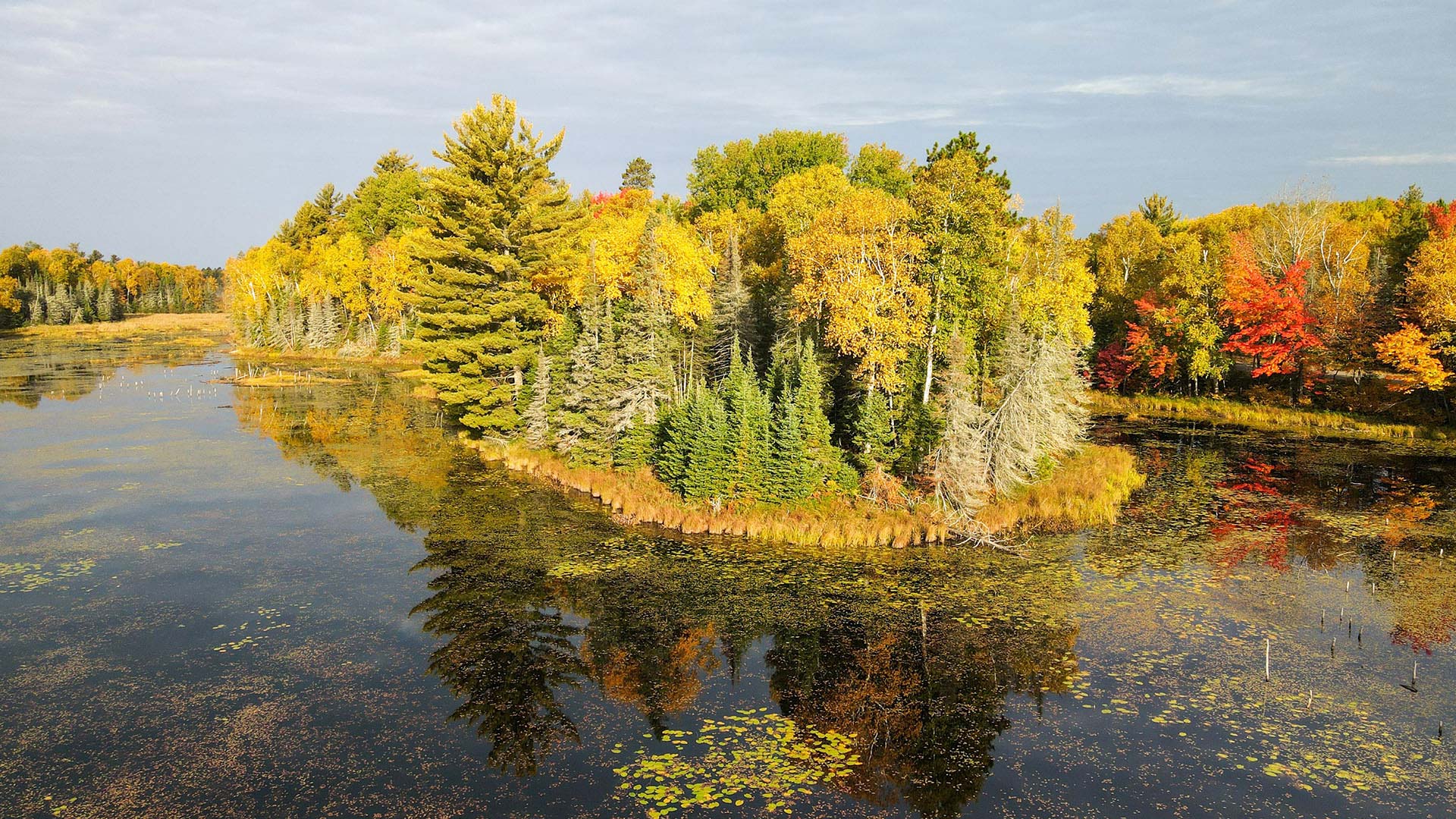  aerial view of Grassy Lake with fall color