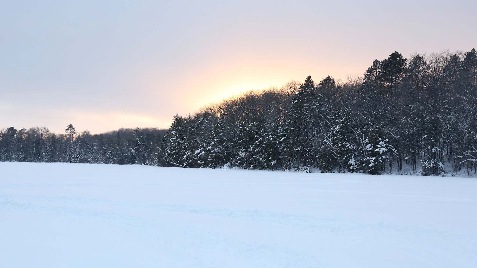 Sunset behind the trees on Trout Lake