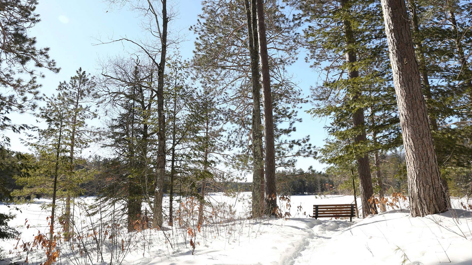 Park bench in between the trees overlooking a snow covered Fallison Lake