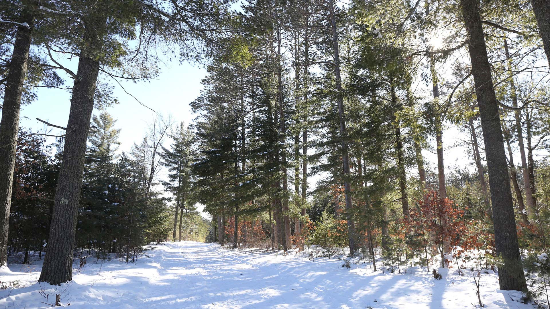 A snow covered trail at Boulder Junction Winter Park