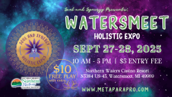 Meta Event (2)
