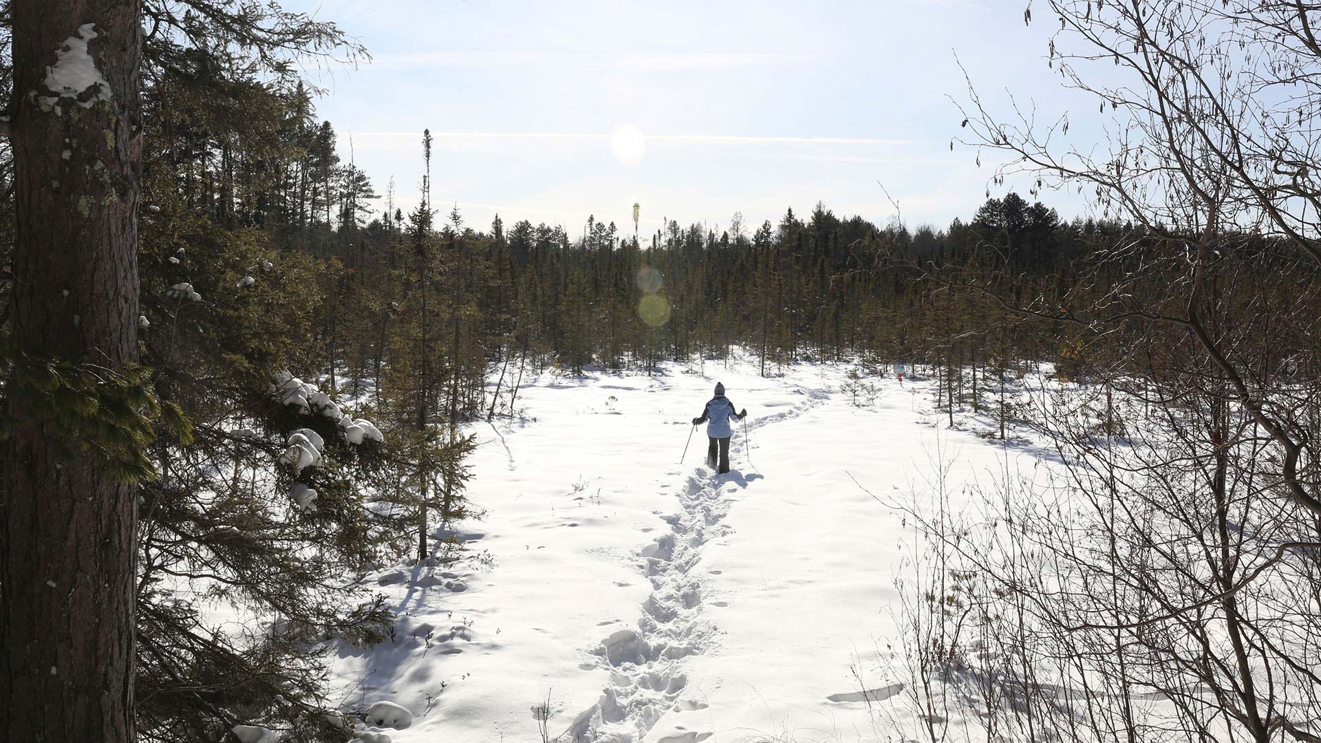 A woman snowshoeing into the distance at Camp Manitowish