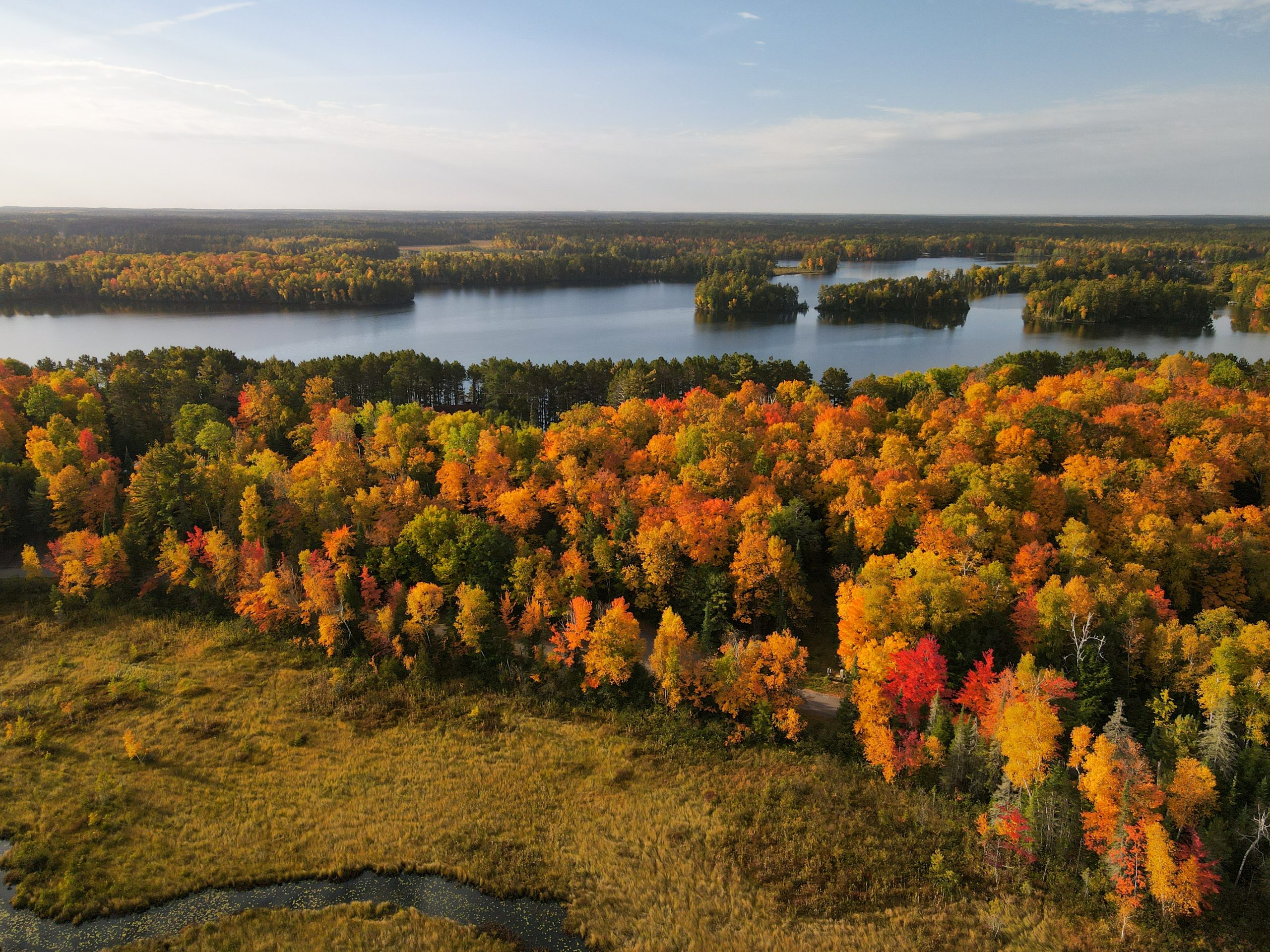 landscape image of fall colored trees and water