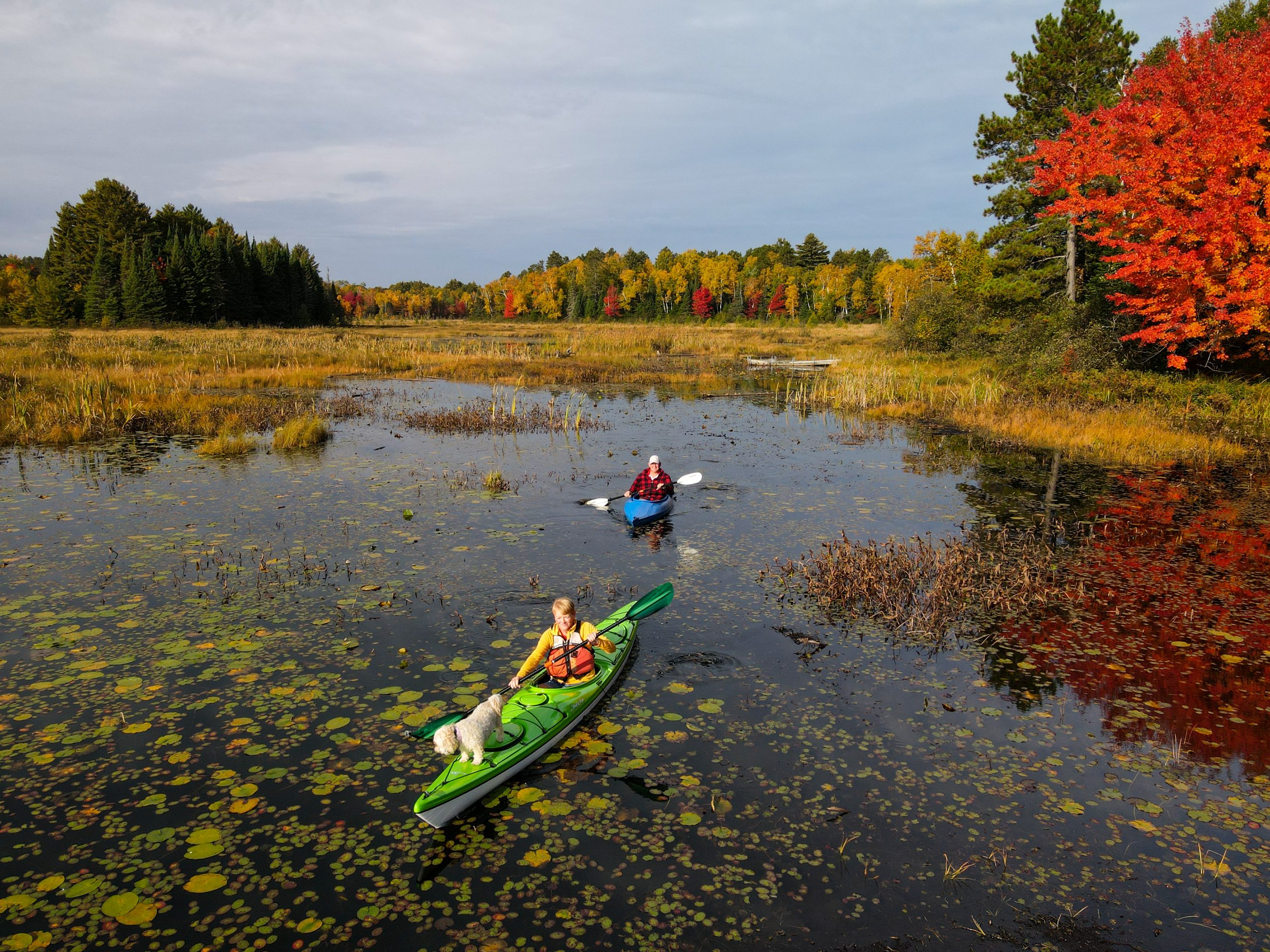 two people paddling on water in fall 