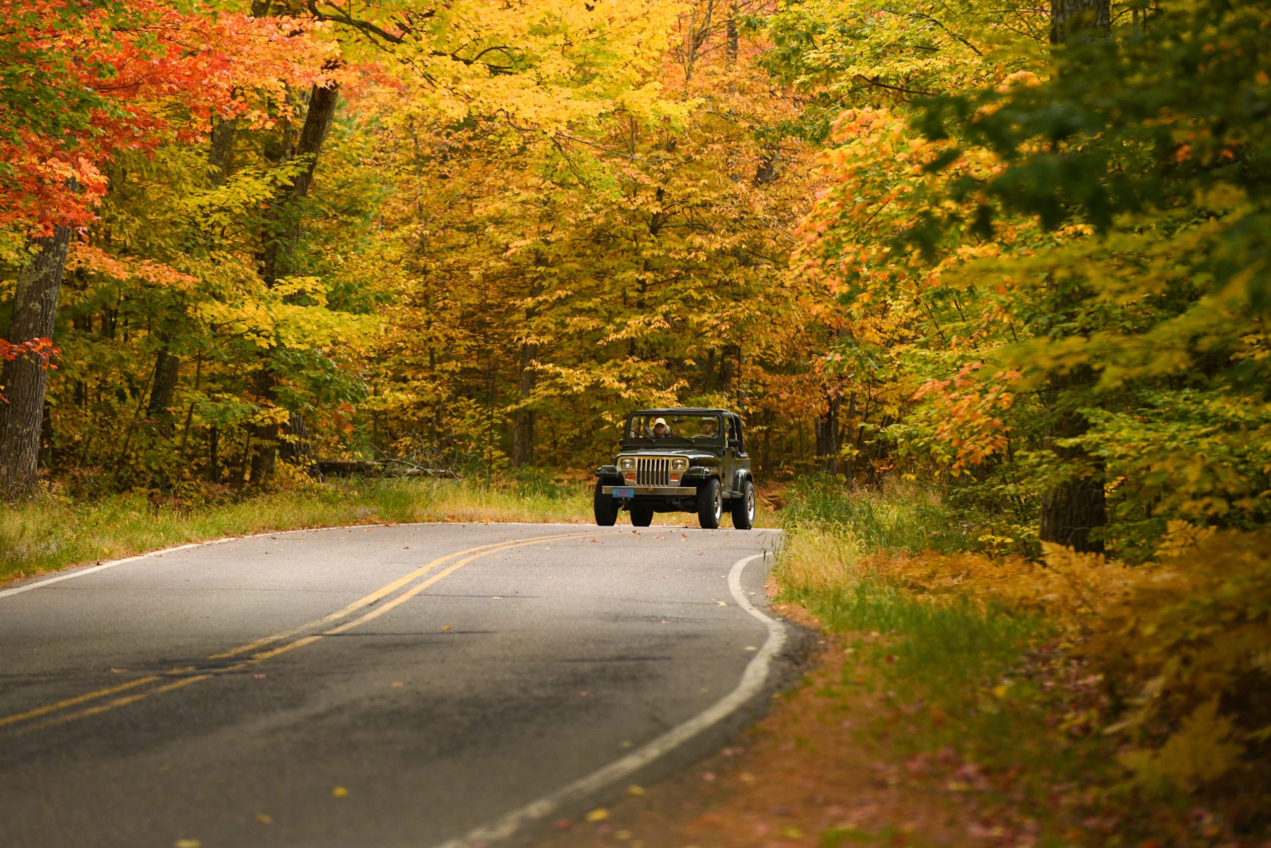 car driving on back road with fall trees